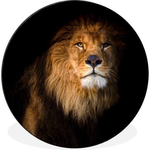 WallCircle - Wandcirkel - Muurcirkel - Leeuw - Licht - Zwart - Portret - Aluminium - Dibond - 60x60 cm - Binnen en Buiten