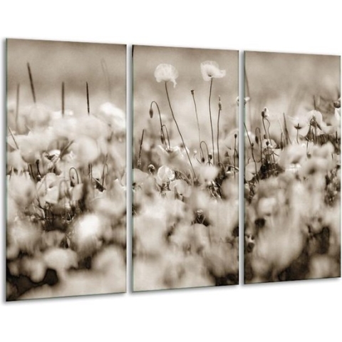 GroepArt - Schilderij -  Bloemen - Sepia - 120x80cm 3Luik - 6000+ Schilderijen 0p Canvas Art Collectie