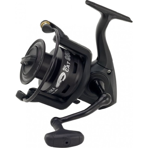 RYOBI Ecusima BigCat 4+1 6500