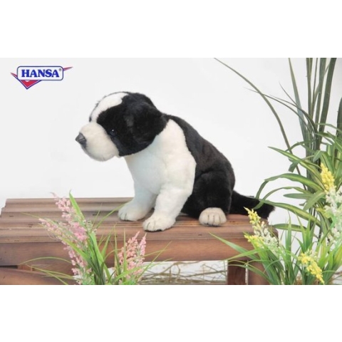 Hansa pluche Border Collie pup knuffel 25 cm
