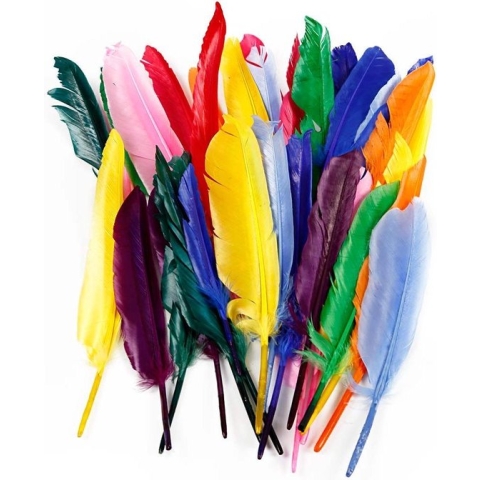 Veren, l: 17-20 cm, kleuren assorti, eend, 250 assorti