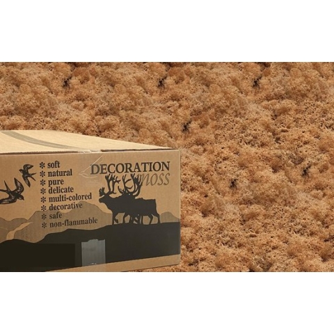 MosBiz Rendiermos perzik 3 kilo voor decoraties, schilderijen en mos wanden