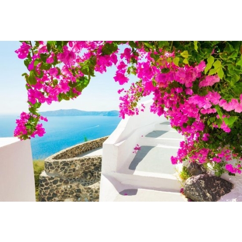 100% Nederlandse Productie! │ Diamond Painting │ Fleurig Balkon Santorini │ Formaat 120 x 80 cm │ Diamond Painting Pakket Volwassenen │ Volledige bedekking │ Vierkant │ Full │ Flitzz Diamond Painting