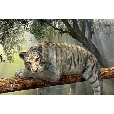 100%  Nederlandse Productie! │ Diamond Painting │ Portret Tijger │ Formaat 120 x 80 cm │ Diamond Painting Pakket Volwassen │ Volledige bedekking │ Vierkant │ Full │ Flitzz Diamond Painting