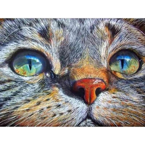 Diamond painting - Kattenogen - Geproduceerd in Nederland - 20 x 30 cm - dibond materiaal - vierkante steentjes - Binnen 2-3 werkdagen in huis