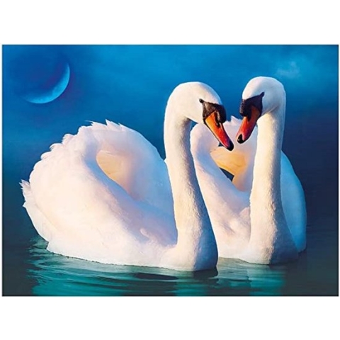 diamond painting opbergdoos - Diamond Painting Accessoires - Voor Diamant Schilderij Kralen, Zaden, Sieraden / Painting Volledige set, 5D Diamond Painting Foto's met Diamond Painting Accessoires