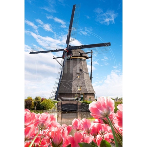 100% Nederlandse Productie! │ Diamond Painting │ Molen met Tulpen │ Formaat 40 x 60 cm │ Diamond Painting Pakket Volwassen │ Volledige bedekking │ Vierkant │ Full │ Flitzz Diamond Painting