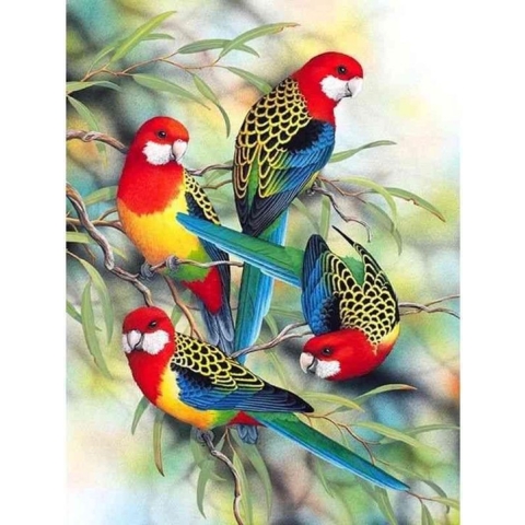Diamond painting - Kleurrijke vogels - Geproduceerd in Nederland - 60 x 90 cm - canvas materiaal - vierkante steentjes - Binnen 2-3 werkdagen in huis