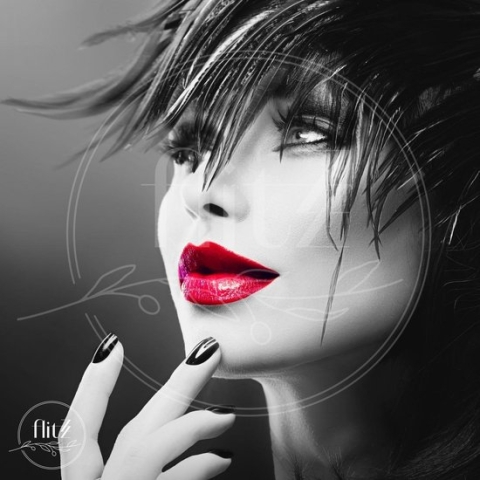 100% Nederlandse Productie! │ Diamond Painting │ Vrouw met Rode Lippen │ Formaat 50 x 50 cm │ Diamond Painting Pakket Volwassen │ Volledige bedekking │ Vierkant │ Full │ Flitzz Diamond Painting