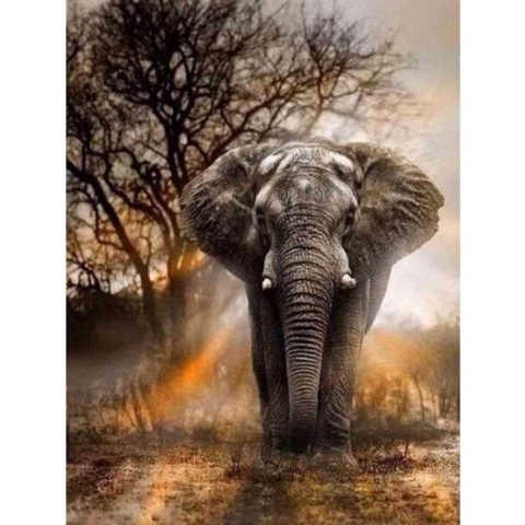 Diamond painting - Olifant tijdens zonsondergang - Geproduceerd in Nederland - 60 x 90 cm - dibond materiaal - vierkante steentjes - Binnen 2-3 werkdagen in huis