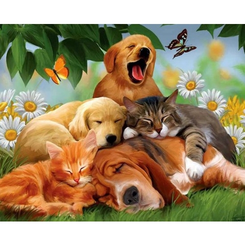 5D Diamond Painting Kit - zelf Diamond Painting Set Kleurrijk Paard, 5D Diamant Schilderij Kits