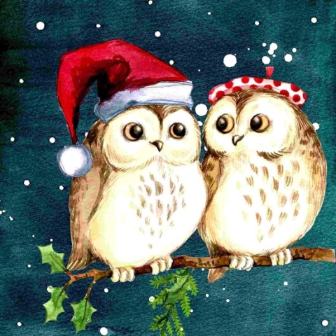 Diamond painting - Kerst uiltjes- Kerst - Geproduceerd in Nederland - 60 x 60 cm - canvas materiaal - vierkante steentjes - Binnen 2-3 werkdagen in huis