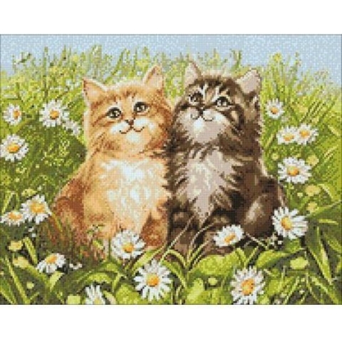 Diamond Summer Kittens