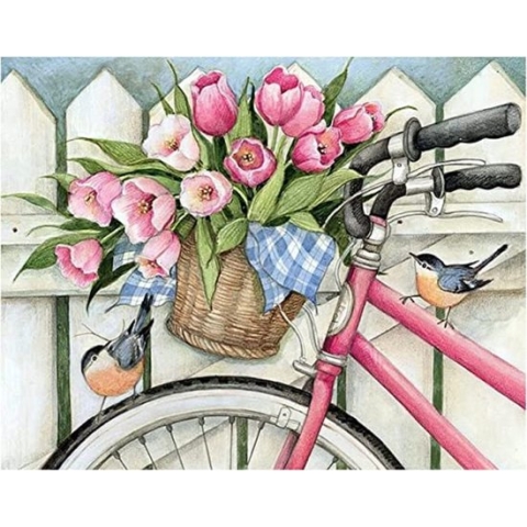 diamond painting opbergdoos - Diamond Painting Accessoires - Voor Diamant Schilderij Kralen, Zaden, Sieraden / Painting Volledige set, 5D Diamond Painting Foto's met Diamond Painting Accessoires