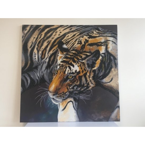 Diamond Painting Crystal Art Kit ® The Tiger 70x70 cm, Partial Painting