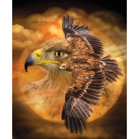Diamond Painting Ronde  Steentjes Spirit  40 x 50