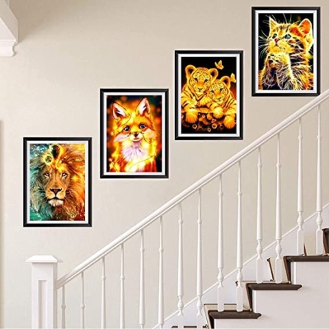 diamond painting opbergdoos - Diamond Painting Accessoires - Voor Diamant Schilderij Kralen, Zaden, Sieraden / Painting Volledige set, 5D Diamond Painting Foto's met Diamond Painting Accessoires