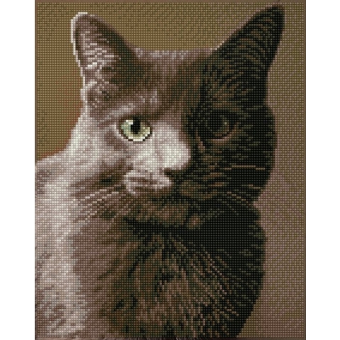 Full Diamond Painting Volwassenen Met Lijst/Frame - Hobby - Volledig Pakket - Vierkante Steentjes - DQK8.001 Diamond Dotz® - Katten portret 37.5 x 30cm