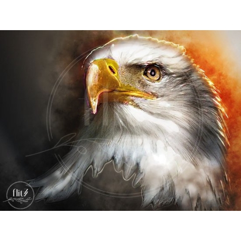 100% Nederlandse Productie! │ Diamond Painting │ Aquarel Adelaar│ Formaat 120 x 80 cm │ Diamond Painting Pakket Volwassen │ Volledige bedekking │ Vierkant │ Full │ Flitzz Diamond Painting