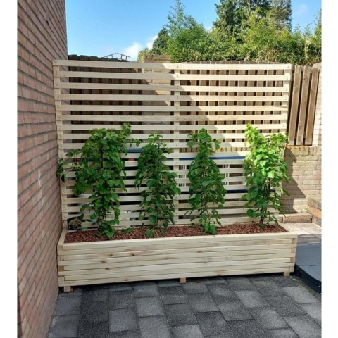 AMISHOUT - Plantenbak met klimrek 200x40x40 (180) cm - Natuural