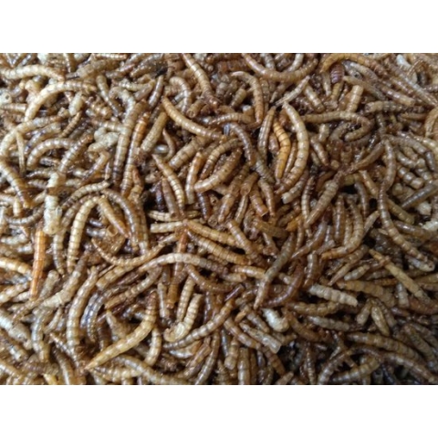 Meelwormen - Buitenvogelvoer (60 Liter)(10KG)