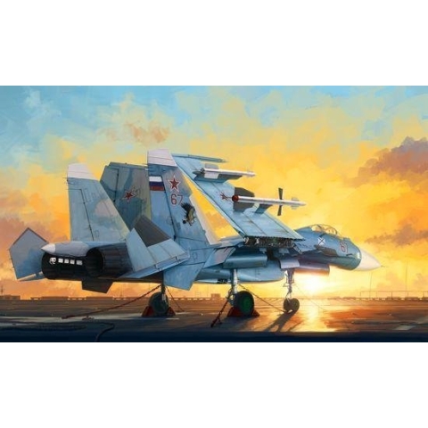 Russian SU-33 Flanker D
