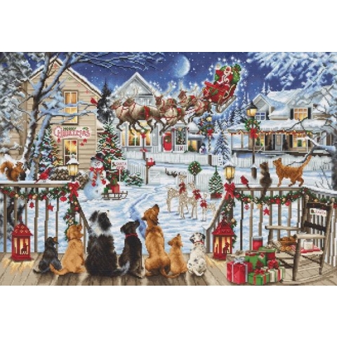 Luca-S Pets On The Porch borduren (pakket) B2423