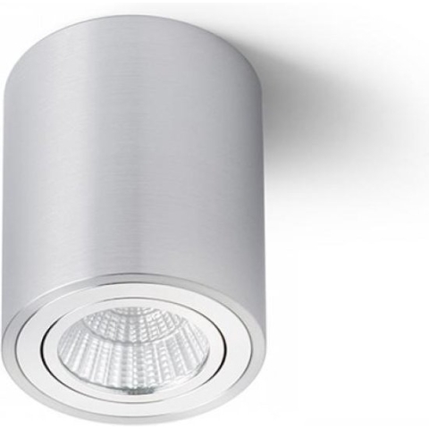 WhyLed Plafondlamp | Geborsteld/Wit | Kantelbaar | Incl. Lichtbron | LED | 2700K