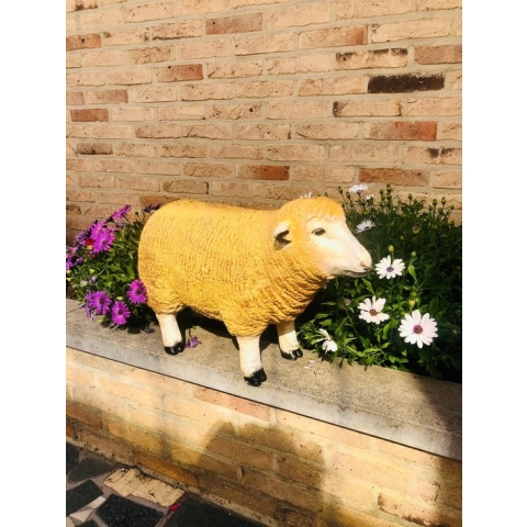 Texel schaap staand kop vooruit 34 cm - polyresin - polystone - hoogkwalitatieve kunststof - decoratiefiguur - interieur - accessoire - voor binnen - voor buiten - cadeau - geschenk - tuinfiguur - tuinbeeld