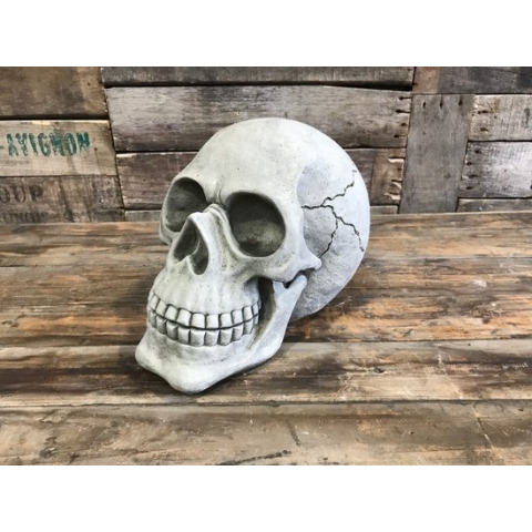 Betonnen tuinbeeld - schedel / skull