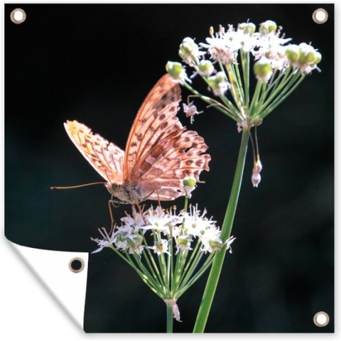 Tuin poster Bloeiende Chinese bieslook in de natuur met roze vlinder - 200x200 cm