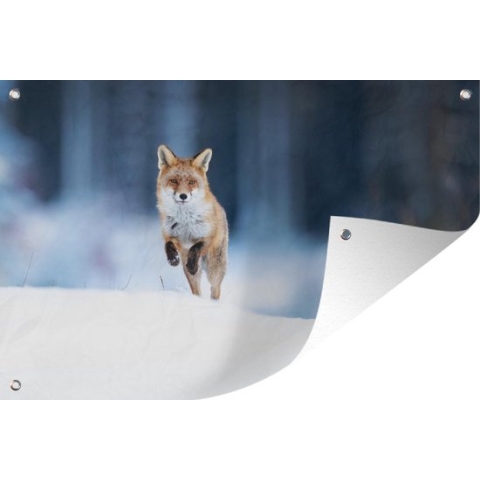 Tuinposter Vos - Sneeuw - Winter - 190x120 cm - Wanddecoratie Buiten - Tuinposter - Tuindoek - Schuttingposter - Tuinschilderij