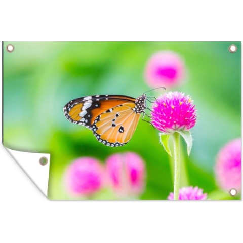Tuinposter - Vlinder - Insecten - Bloemen - Fauna - Tuindecoratie - 180x120 cm - Tuindoek