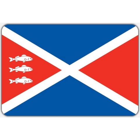 Vlag Spaarndam - 200 x 300 cm - Polyester