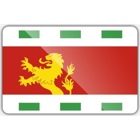 Vlag gemeente Barendrecht - 200 x 300 cm - Polyester