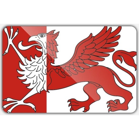 Vlag gemeente Ooststellingwerf - 200 x 300 cm - Polyester