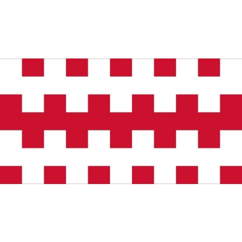 Vlag Dongen 150x225cm