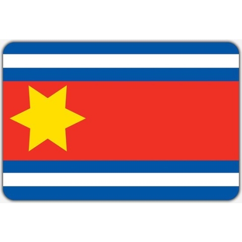 Vlag Eenrum - 150 x 225 cm - Polyester