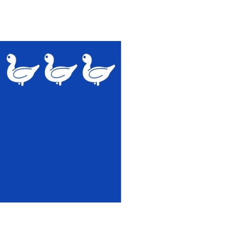 Vlag Thuin 150x225cm