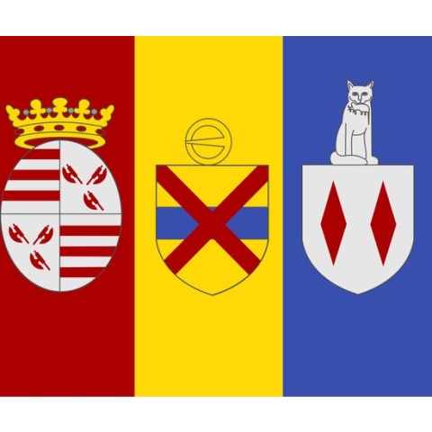 Vlag Londerzeel 120x180cm