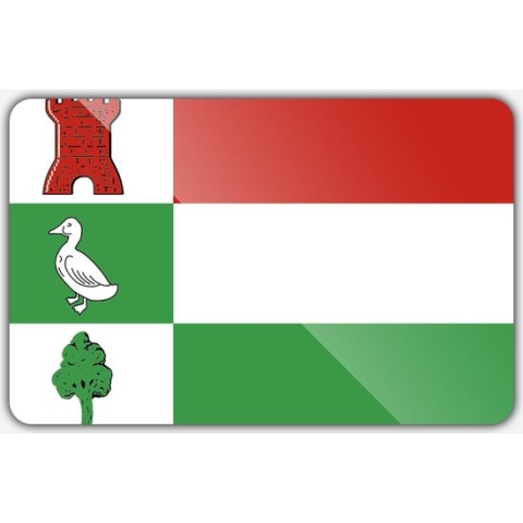Vlag gemeente Halderberge - 150 x 225 cm - Polyester