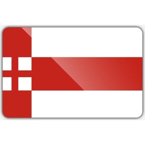 Vlag gemeente Amersfoort - 200 x 300 cm - Polyester