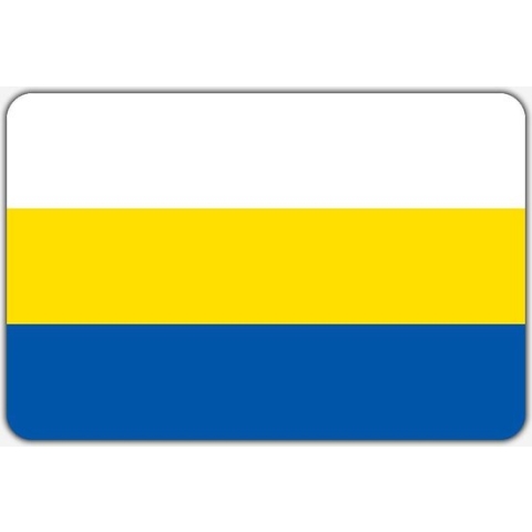 Vlag Dodewaard - 200 x 300 cm - Polyester