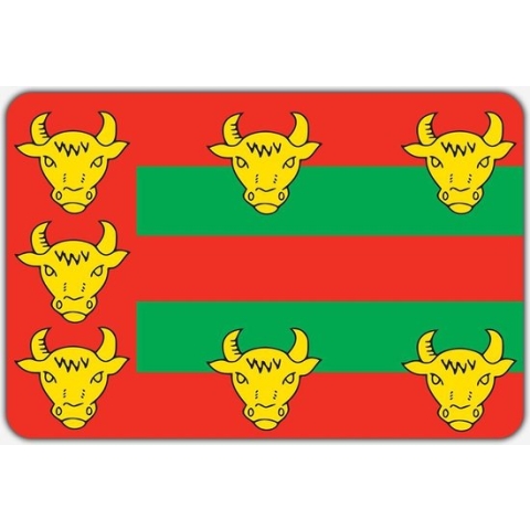 Vlag Eext - 200 x 300 cm - Polyester