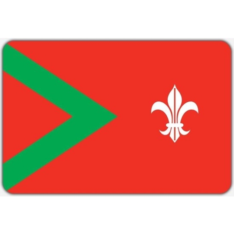 Vlag Rijsbergen - 200 x 300 cm - Polyester
