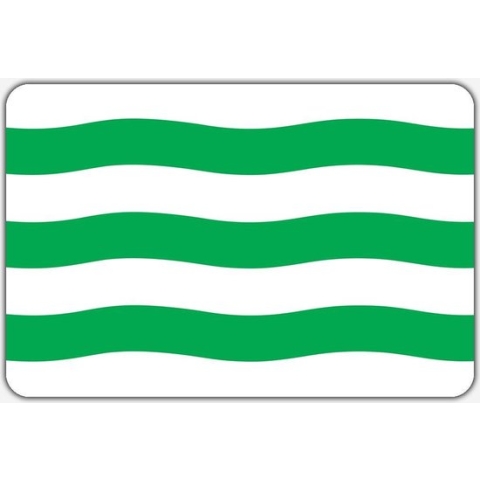 Vlag Piershil - 200 x 300 cm - Polyester