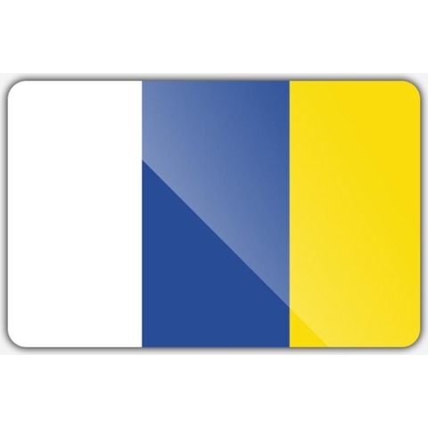 Vlag gemeente Doetinchem - 150 x 225 cm - Polyester