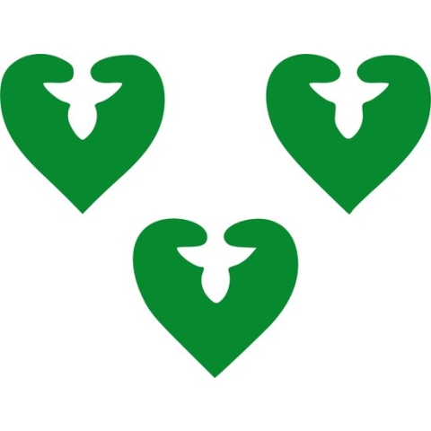 Vlag Waver 120x180cm