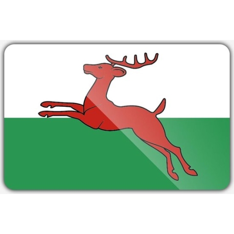 Vlag gemeente Smallingerland - 200 x 300 cm - Polyester