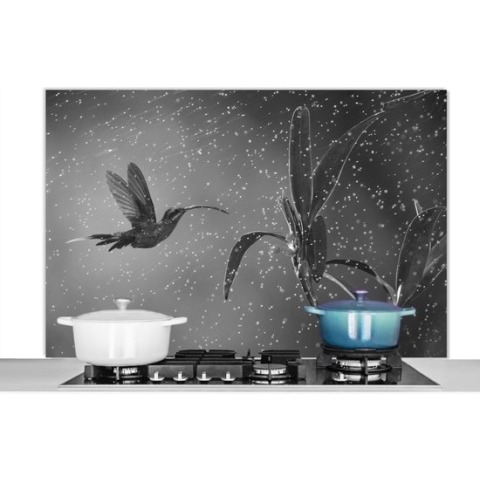 Spatscherm Keuken - Kookplaat Achterwand - Spatwand Fornuis - 120x80 cm - Kolibrie in de regen in de natuur van Costa Rica in zwart wit - Aluminium - Wanddecoratie - Muurbeschermer - Hittebestendig